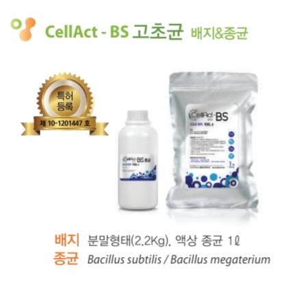 CellAct-BS (고초균)