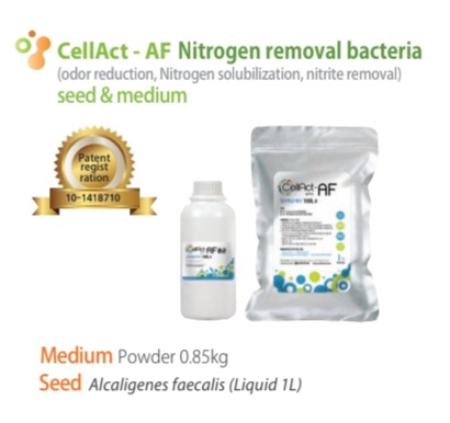 CellAct-AF