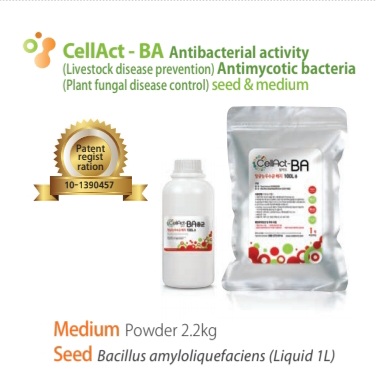 CellAct-BA
