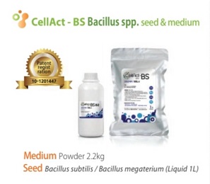 CellAct-BS