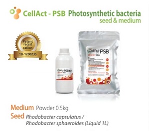 CellAct-PSB