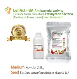 CellAct-BA