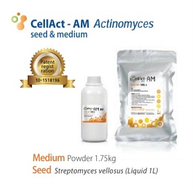 CellAct-AM