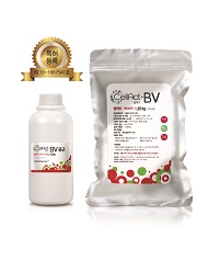 CellAct-BV